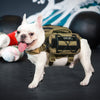 Small Sized Outdoor Dog Travel Vest - SEALSGLOBAL