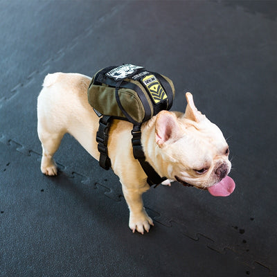 Eureka K9 Small Dog Vest - SEALSGLOBAL
